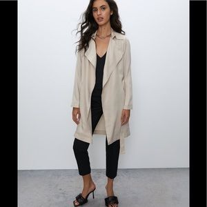 Aritzia Babaton Maximo Trench Coat